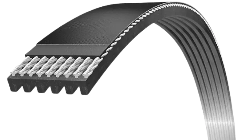 Poly V-belt for ceramic industry