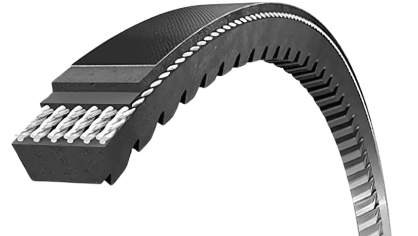 Raw edge V-belt for use in the ceramic industry