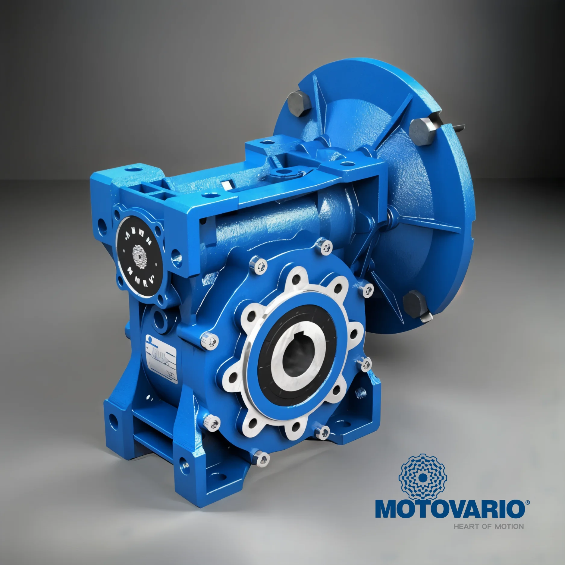 Motovario Gear Reducers and Motors Supplier